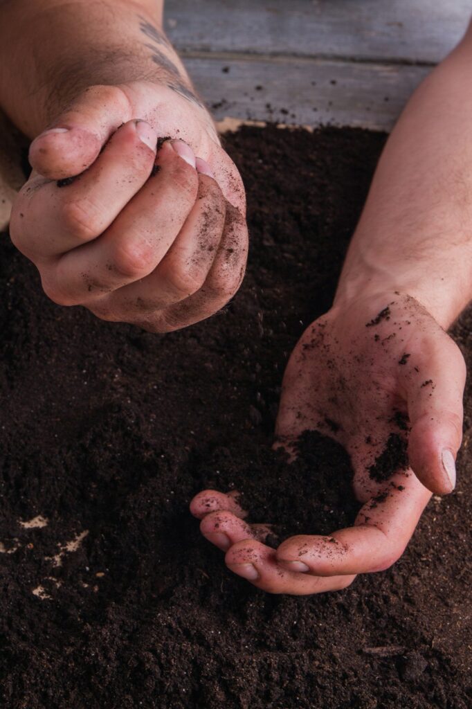 Dirty male hands works with fertile soil.